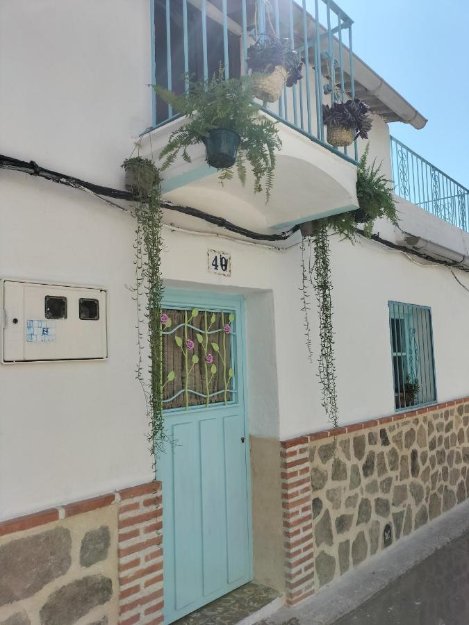 La Casa De Tio Vidal Villa Pedro Bernardo ภายนอก รูปภาพ